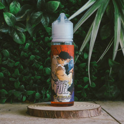 Fighter fuel 50ml seiryuto