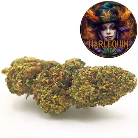 Pot 5grs fleurs - connection - cbd harlequin premium