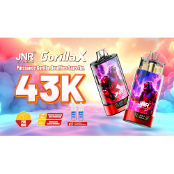 Puff jnr kit gorilla x + 2x10ml - 20mg lady killa