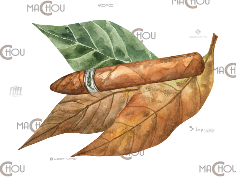 PULP LE POD LIQUIDE - MOZAMBIQUE BLEND - SALT