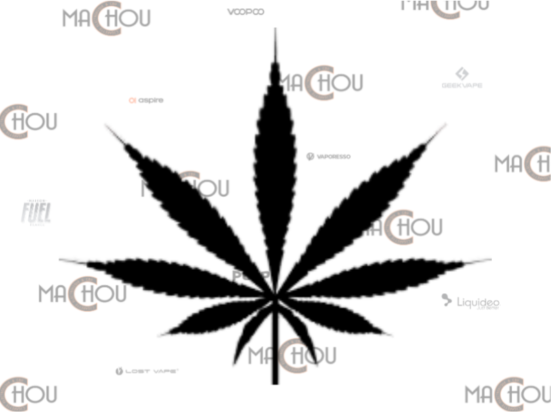 Gel crÃ¨me CBD 1000MG - 100ML - GREENEO