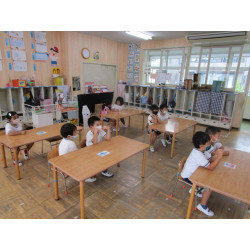 Chapo blunt de chanvre fraise kiwi