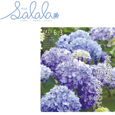 Chapo blunt de chanvre myrtille